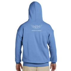 Dream BIG hoodie 71f28c4d-793f-4878-80ea-2ba56af0f21c